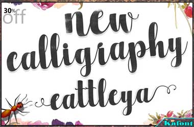 Cattleya Script Font