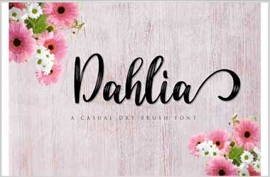 Dahlia Font