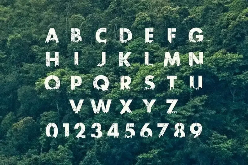 Urban Jungle Font Image 3
